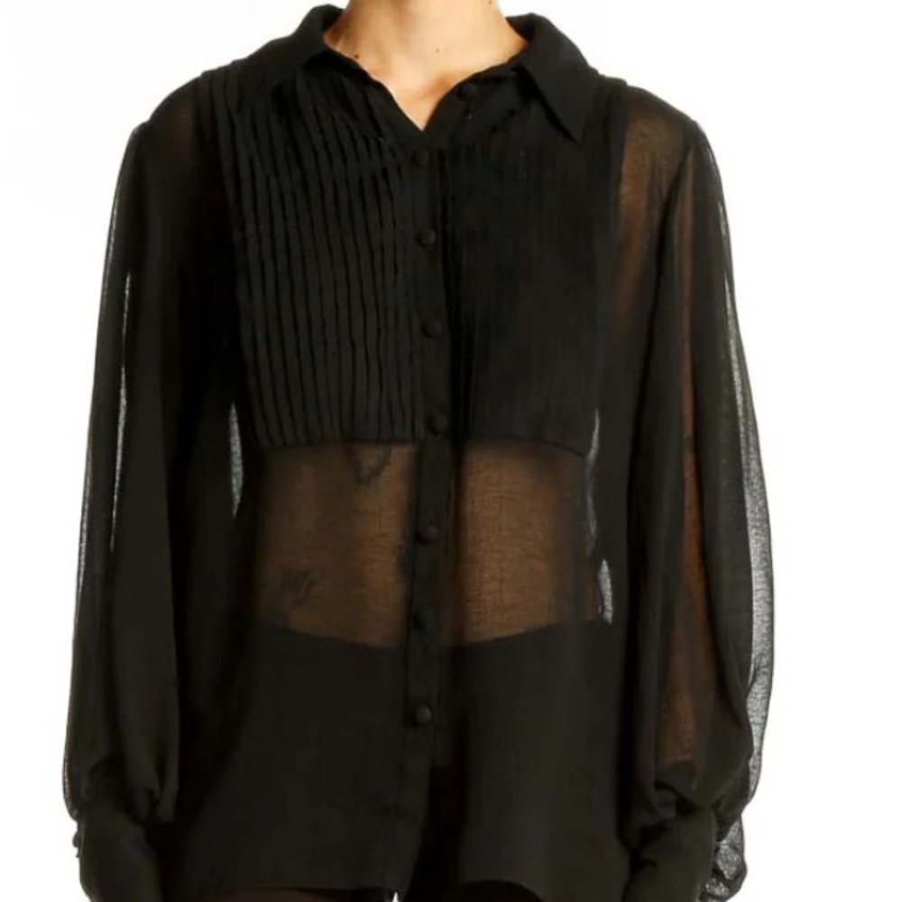 Zara Sheer Black Pleated Button Up Blouse